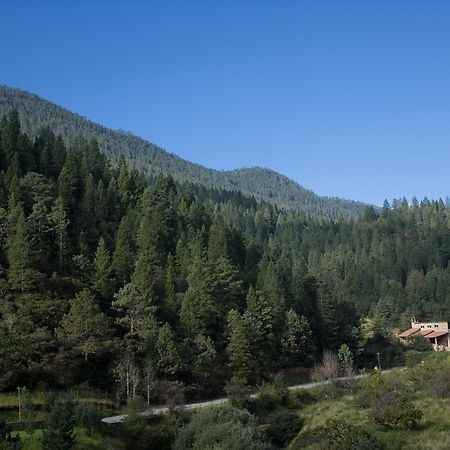 Bosques De Monterreal Hotell San Antonio de las Alazanas Exteriör bild