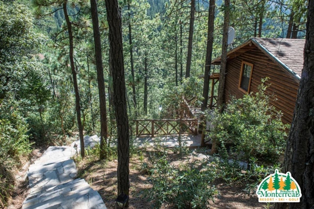Bosques De Monterreal Hotell San Antonio de las Alazanas Exteriör bild