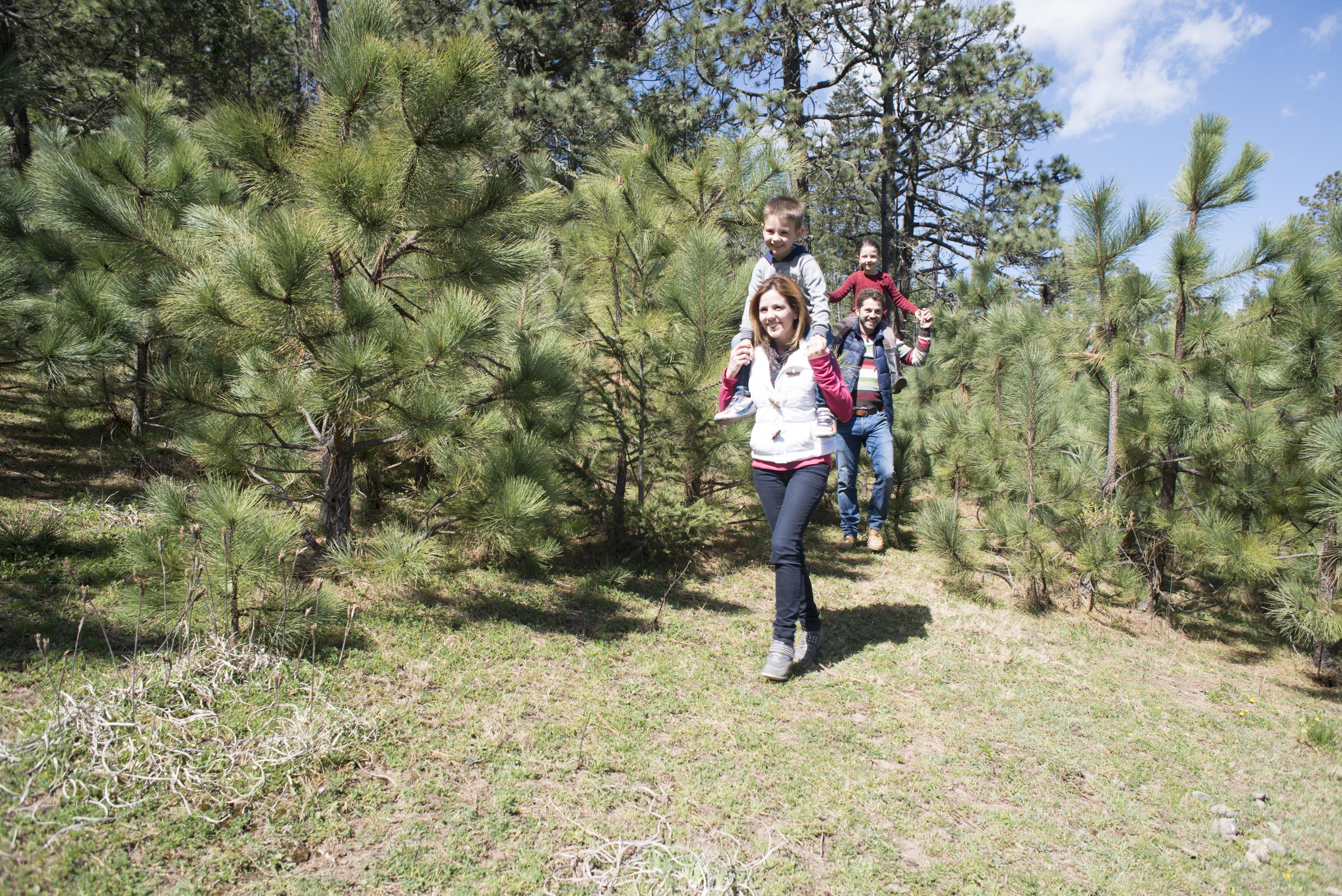 Bosques De Monterreal Hotell San Antonio de las Alazanas Exteriör bild